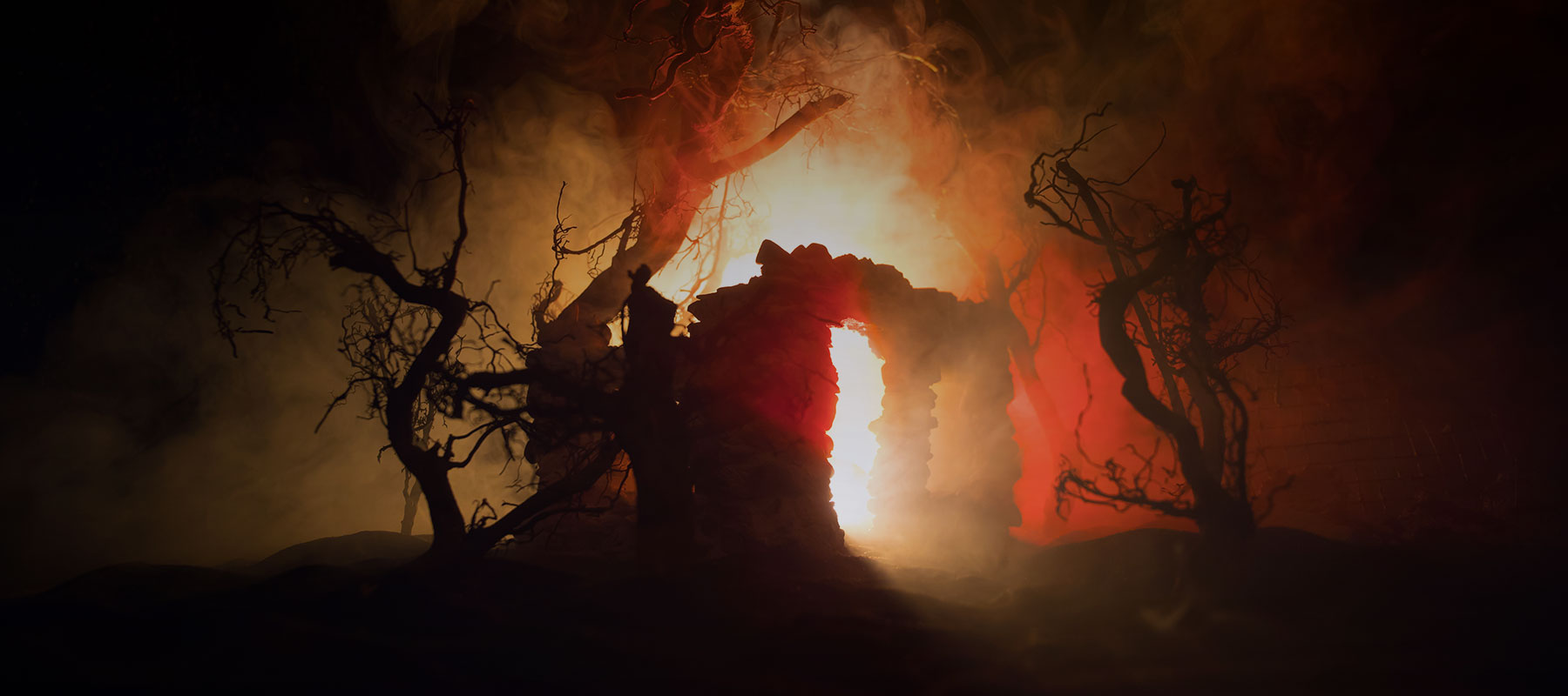 The Burning is the sixth novel in the Jenny Cooper Coroner series  by Matthew Hall